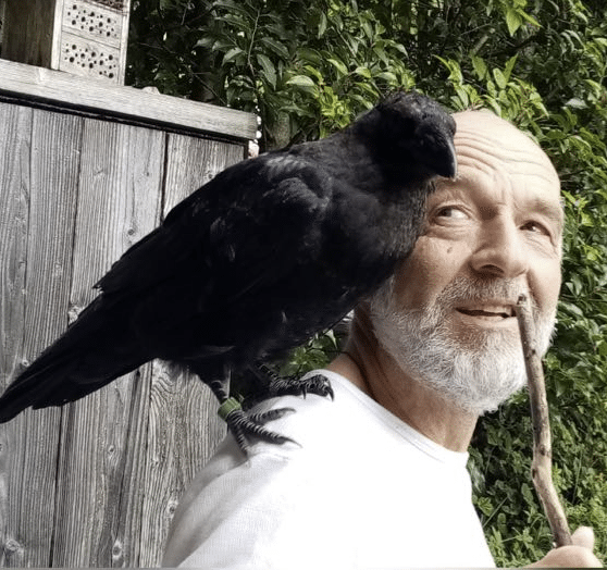 Sigfried Rohner Profilbild
